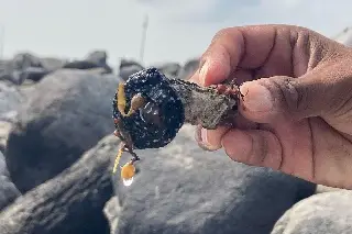 Turistas y prestadores de servicio reportan manchas de petróleo en playas de Veracruz