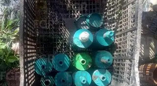 FGR asegura explosivos y pólvora tras cateo en Coyutla, Veracruz 