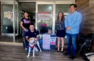 Buscan vincular a proceso a maltratadores de animales en la fiscalía de Veracruz 
