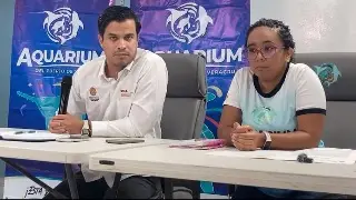 El único reporte oficial es una tortuga: Procurador del Medio ambiente sobre fauna marina muerta