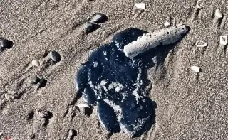 Videos de manchas de petróleo en playas de Chachalacas son de años anteriores: Rocío Nahle