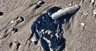 Esto se sabe sobre las manchas de petróleo en ríos y lagunas de Paraíso, Tabasco 