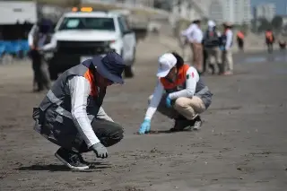 Playa Santa Ana se mantiene limpia: PC