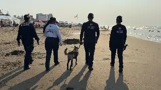 Despliegan mil 700 elementos de Seguridad en Operativo de Semana Santa en Veracruz 