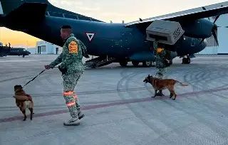 Quedan atrapados cuatro mineros tras derrumbe de mina en Sinaloa; intensifican búsqueda