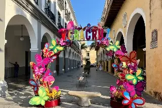 Adornan con mariposas el zócalo de Veracruz 