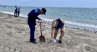 Marina realiza limpieza en playas de Veracruz 