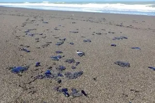 Buque de Pemex que repara ductos estuvo anclado más de 8 días en zona del derrame: El País