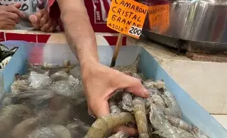 Reportan que precio de pescados subió 20% en Xalapa, Veracruz; esto se sabe