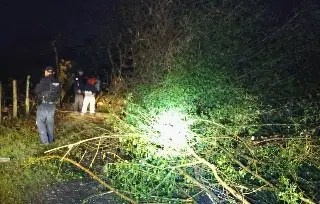 ¿Qué fenómeno derribó casas y árboles en Tierra Blanca? 