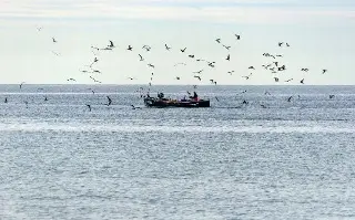 Pescadores de Alvarado paran actividad por derrame de petróleo 