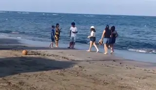 Recogen casi 900 toneladas de petróleo en 48 playas del Golfo de México