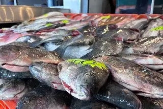 Estos son los precios de pescado y mariscos en Veracruz