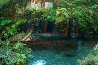 ¿Por qué prohibieron el turismo en reserva de Pancho Poza, en Veracruz?