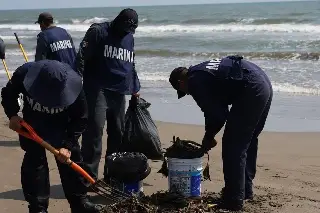 Realizan limpieza de playas de Alvarado, Veracruz 