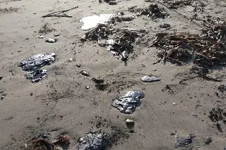 Manuel Huerta: Derrame en Veracruz debió atenderse con mayor sensibilidad