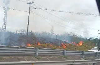 Se incendia pastizal en autopista Veracruz - Cardel; humo afecta visibilidad 