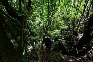 Exigen investigar cadena de mando por caso del expolicía David Lara Cruz 