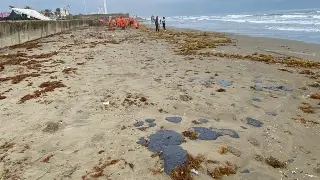 Regresa petróleo a playa de Coatzacoalcos por frente frío 43