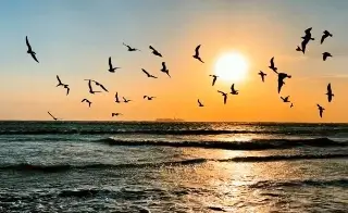 ¿Vas a turistear en Veracruz? Checa el pronóstico del tiempo para hoy y el fin de semana