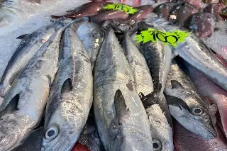 Escasez: pescadores de Veracruz advierten crisis de especies