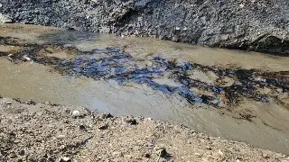 Instalan barreras por derrame de aceite en Poza Rica y Coatzintla