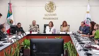 Senado declara constitucional plan B de Reforma Electoral; pasa al Ejecutivo 