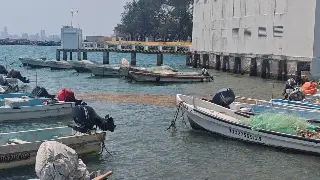 También llegó sargazo al muelle de pecadores y zona arrecifal de Veracruz