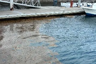 ¿El sargazo puede ser dañino para la gente? Esto advierte experto