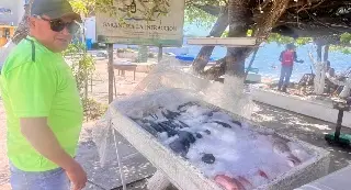 Pescadores ponen a venta directa el producto de su pesca diaria en Boca del Río