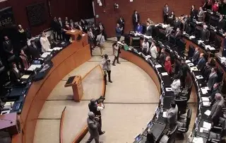 ¿En qué consiste la nueva Ley de Cine aprobada por el Senado?