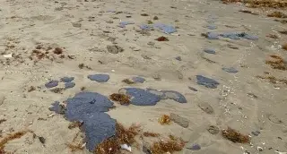 Rocío Nahle reitera que se ha atendido y limpiado manchas de petróleo en playas de Veracruz