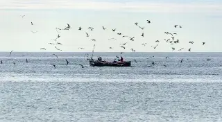 Derrame en Golfo de México: sin cifra oficial del volumen, continúan análisis