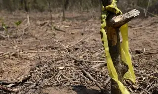 Colectivos de búsqueda expresan consternación por hallazgo de mil 76 restos en el Edomex