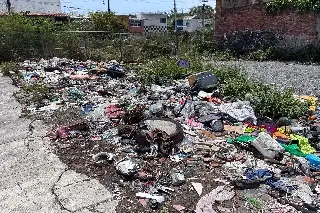 Basurero clandestino en centro De Veracruz