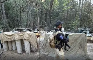 Harfuch niega participación de agentes de EU en operativos en México