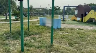 Hallan mujer sin vida en parque al sur de Veracruz 