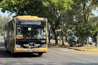 ¿Cómo evalúas el servicio de los camiones Ulúa? A 6 meses de que están en circulación