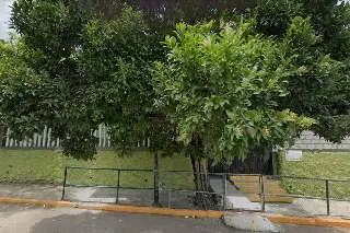 Dos semanas sin luz en escuela de Veracruz, previo al Día del Niño