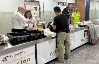 Detienen a extranjero que transportaba lienzos con droga adherido a la pintura en aeropuerto de CDMX    
