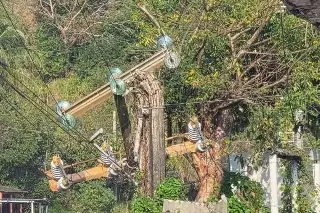 CFE intensifica mantenimiento en infraestructura eléctrica en Veracruz 