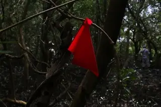Desaparición de trabajadores desata nueva búsqueda de fosas clandestinas en Veracruz