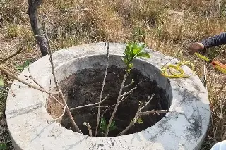 Hallazgo perturbador en un pozo de agua en Veracruz: los restos de una joven mujer