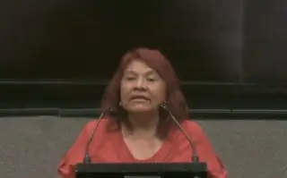 Yunes Landa se está amarrando las manos porque es muy hábil para mentir: diputada de Morena