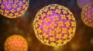 España informa caso sospechoso de hantavirus relacionado con mujer fallecida tras el brote en crucero