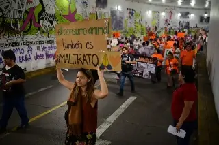 Marchan para exigir justicia contra maltrato animal en Xalapa, Veracruz 