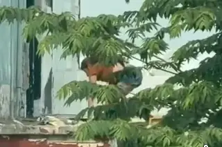 Inmueble abandonado es guarida de gente sin oficio, denuncian vecinos 