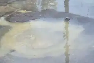 Reportan alto riesgo sanitario por drenaje desbordado en este cruce de Boca del Río 