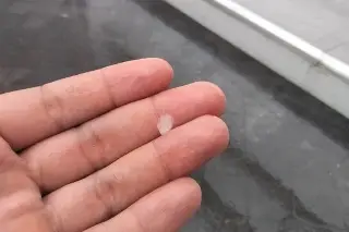 Cae granizo pequeño en colonia de Xalapa, Veracruz 