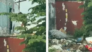 Indigentes invaden inmueble abandonado y luego cometen delitos en Veracruz